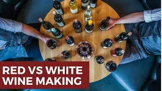 Red vs White Wine Making | Doctor McTavish