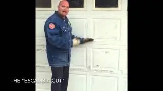 The 