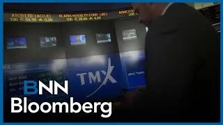 TMX has evolved beyond TSX exchange: Hot Picks in financials