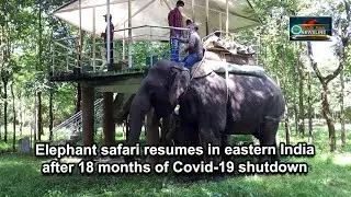 Elephant safari resumes in eastern India after 18 months of Covid-19 shutdown