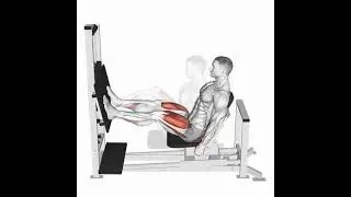 Leg Press Horizontal