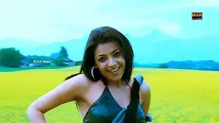 The Great Veera Hindi Movie Songs || 4k Video Song || Ravi Teja Kajal Agrawal S Thaman Music