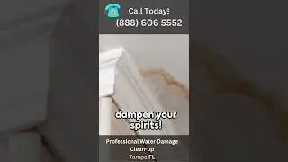 24 Hour Emergency Water Damage Service Tampa, Florida |  Always Available Flood Recovery Solutions