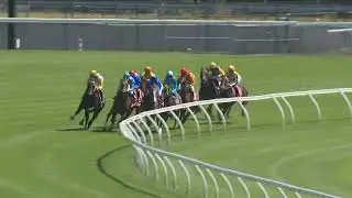 Elwick Stakes 2026 - ARISTOPOLOS (2YO SW LR) Listed Hobart 25 January