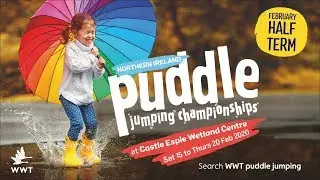 Puddle Jumping Championships Northern Ireland | WWT Castle Espie
