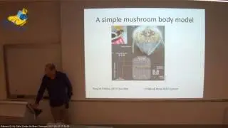 ELSC Seminar - Lars Chittka - 23 03 2017