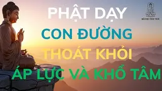 Phật Dạy Con Đường Thoát Khỏi Áp Lực Và Khổ Tâm l BÀI HỌC TỈNH THỨC