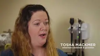 Happy Valley Vet Hospital - Brand Video // Lemonlight Media