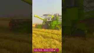 sms combine jeere jhona swaraj