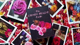 The Lioness Oracle Tarot - review