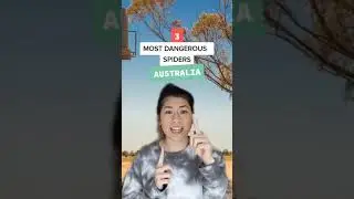 3 самых опасных паука в Австралии #Shorts