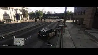 &laquo; Deux policiers, un seul cerveau. &raquo; 🧠😄 #GTA #rp #homeliferp