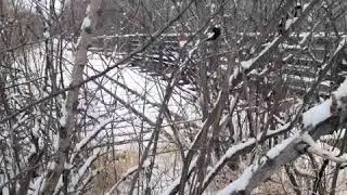 scouting for new fishing spot. part 2