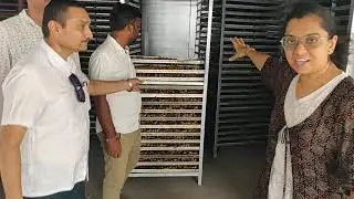 Innovative Farmers from Kutch - Episode No. 6 - Processing of Fresh Dates.