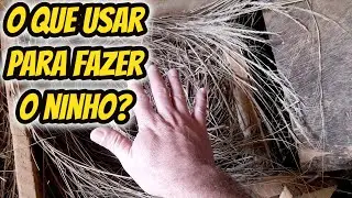 Dica de Qual o melhor tipo de material usar para fazer ninho das Galinhas. Capim areia ou serragem?