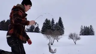 Frozen pond monsters ￼