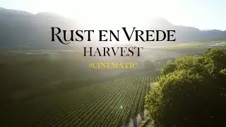 Rust en Vrede Wine farm Harvest. Cinematic