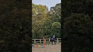 Mr Buckaroo yesterday 🥹