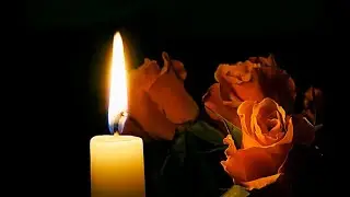Meclisinde mail oldum / Vasken Bostancı foto/videoBiofragmania ... 💞