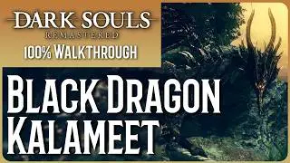 Dark Souls Remastered WALKTHROUGH - Part 24 - Black Dragon Kalameet