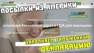 LiteMF - Как заполнить таможенную декларацию? CergeyNChina!