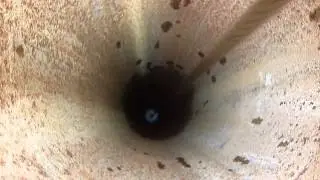 Pistoneo de un Pozo Profundo