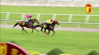 31 MARCH 2018 RACE 8