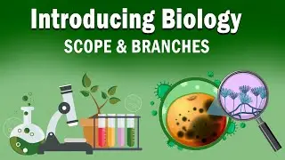 Class 9 | Introducing Biology | Scope and Branches | Biology | ICSE Board | Home Revise