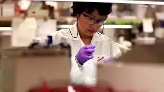Eli Lilly reaches $1 trillion market value | REUTERS