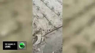 Top Channel/ Dalja e lumit Osum nga shtrati, p&euml;rmbyten serat n&euml; Dimal, fermer&euml;t: Kemi shpenzuar...