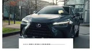 Lexus | Inside Look: Choosing and Storing Your Tires