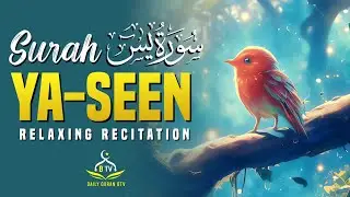 Most Relaxing Surah Yaseen سورة یس Recitation | Listen Every Day