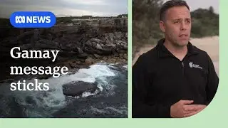 Aboriginal people at Gamay (Botany Bay) knew something was coming before Endeavour landed | ABC NEWS
