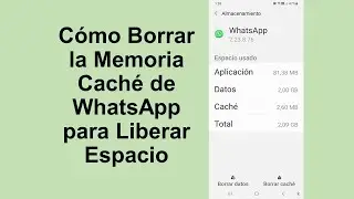 Cómo Borrar la Memoria Caché de WhatsApp para Liberar Espacio