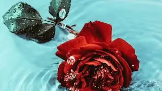 [FREE] Ph1 x Jay Park x Sik-K (식케이) Type Beat 
