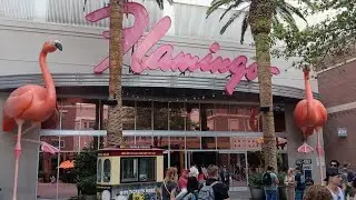 Flamingo Wildlife Habitat Las Vegas #lasvegas #vegas #flamingo