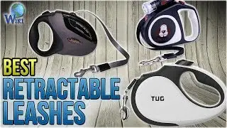 10 Best Retractable Leashes 2018