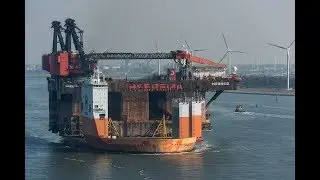 Shipspotting #010 Dockwise Vanguard - Netherlands