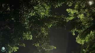 Night Roadside Rainstorm Sounds for Deep Sleep and Total Relaxation