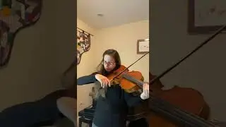 Make You Feel My Love, Adele, Viola Cover by Catherine Evergreen