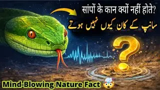 How Does a Snake Hear Without Ears? 🤯 | Nature’s Hidden Secret | دماغ کو ہلا دینے والا سچ | urdu tv
