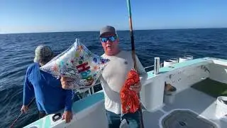 Mylar balloons are one of the most unnecessarily destructive novelty products there is.