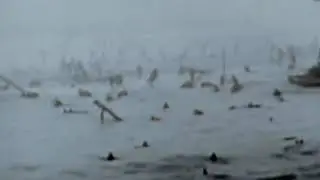 D-Day 75