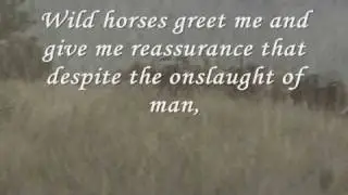 Wild Horses