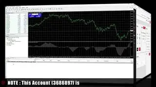 Internal Transfer From Wallet To MT4 Account