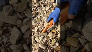 River Treasure💰Alluvial Gold Nugget Discovered with metal detector #shorts #metaldetecting #goldrush