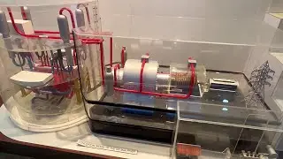PHWR Scale model
