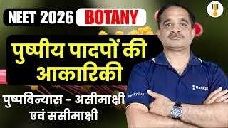 Morphology of Flowering Plants | NEET 2026 Botany | NEET Hindi Medium | NCERT Exemplar | Rankplus