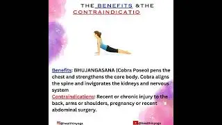 The Benefits & The Contraindications of BHUJANGASANA #yoga #meditation #health  #bhujangasana