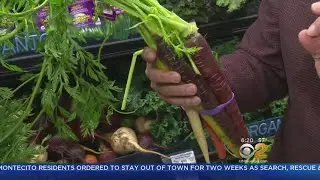 Tip Of The Day: Heirloom Carrots